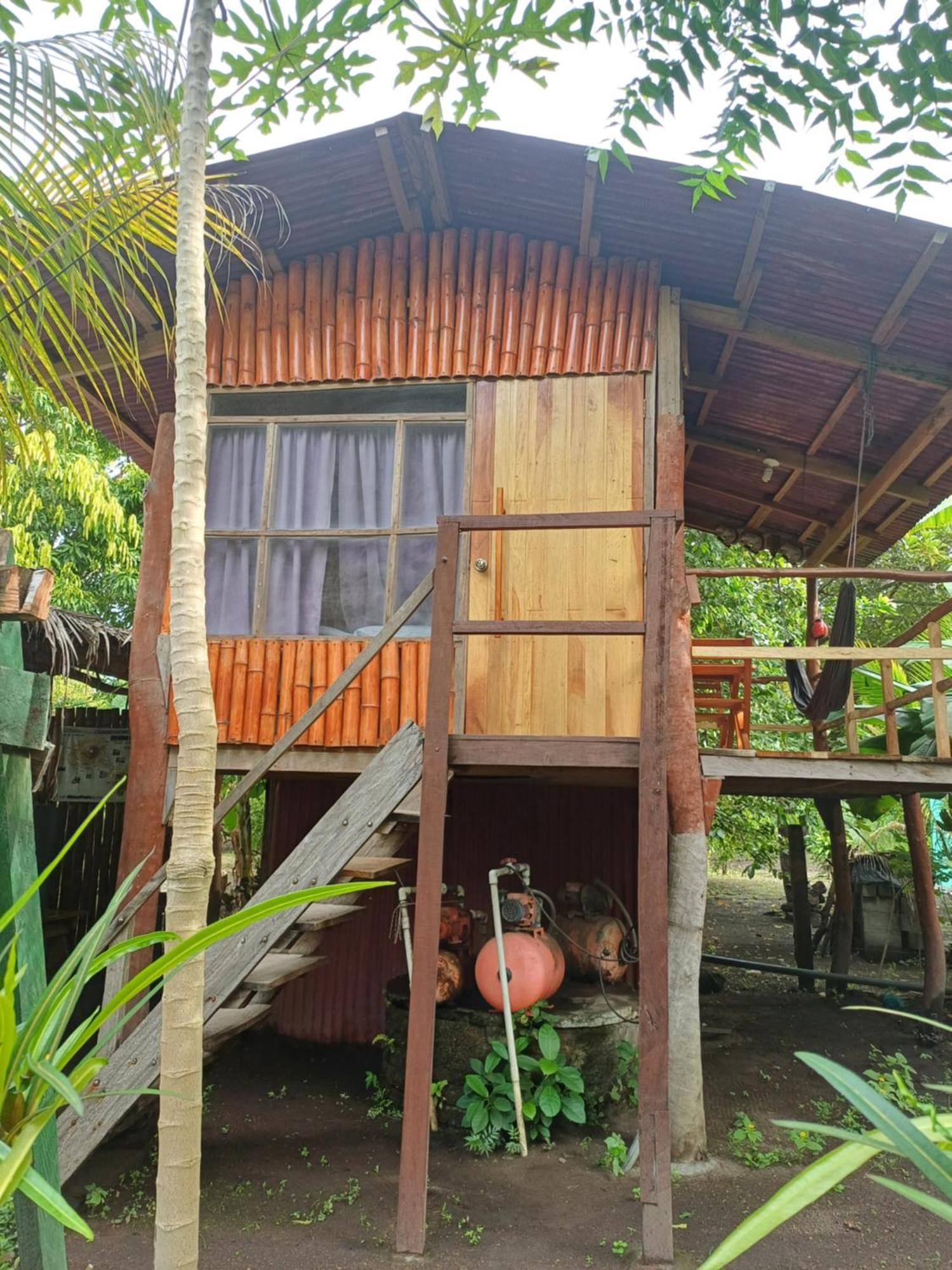 Cabanas Privadas Dilany Moyogalpa Dış mekan fotoğraf